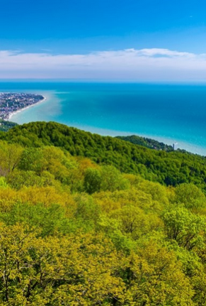 AZIMUT Park Hotel Vinogradnaya Sochi